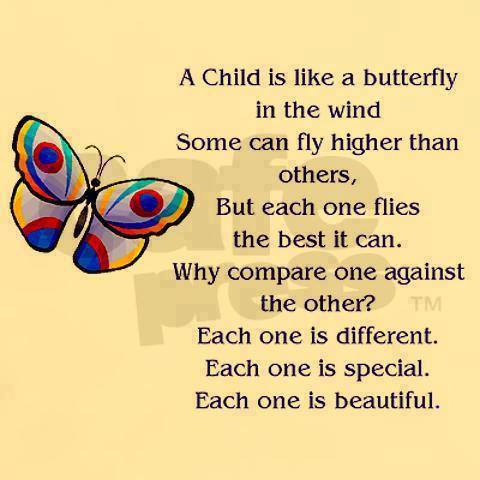 Diffferent Butterflies!